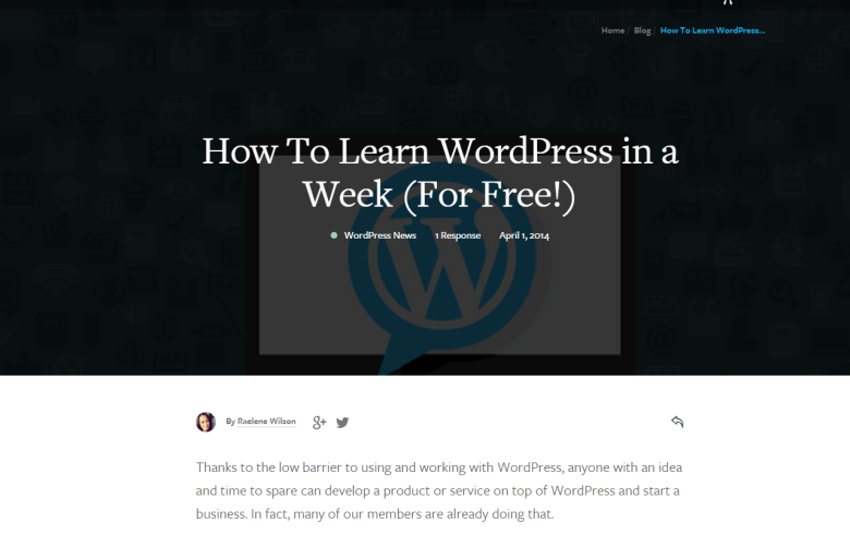 wpmudev - WordPress Tutorials