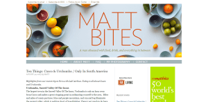 food blogger matt bites